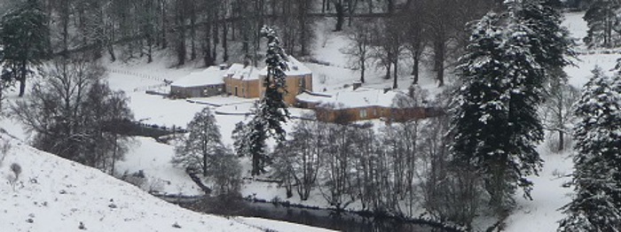 Snowy landscape