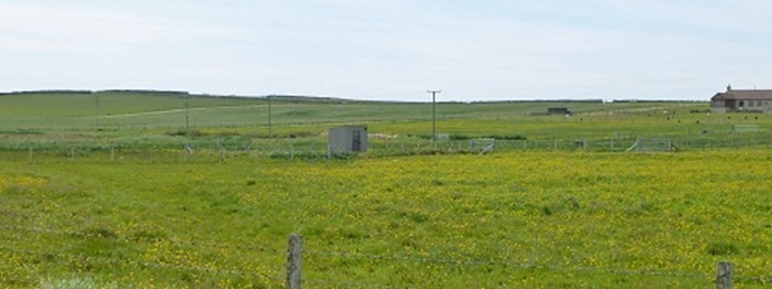 A view of a field