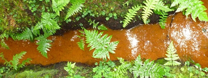 Dirty Stream